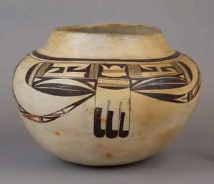 Collections Portal - Museum Of Northern Arizona